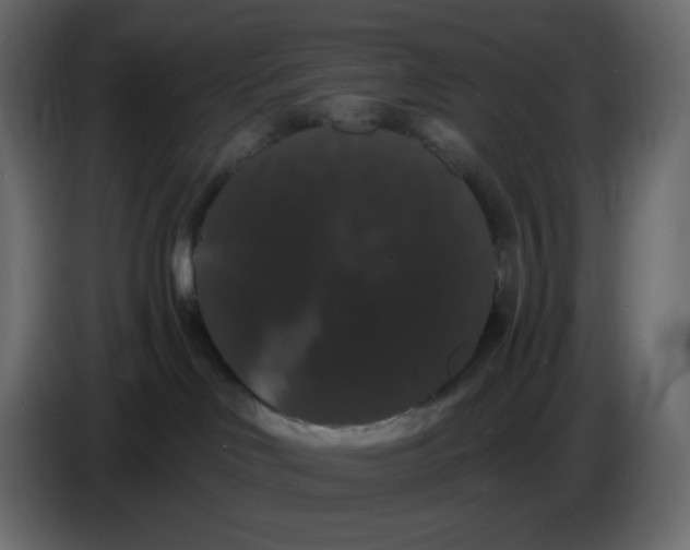 X0000086730046200705041356