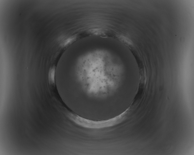 X0000086730047200705041356