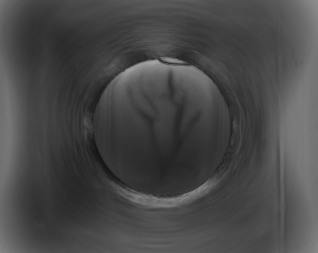 X0000086730048200705041356