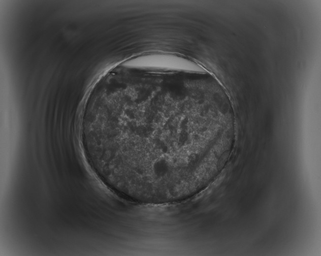 X0000086730049200705041356