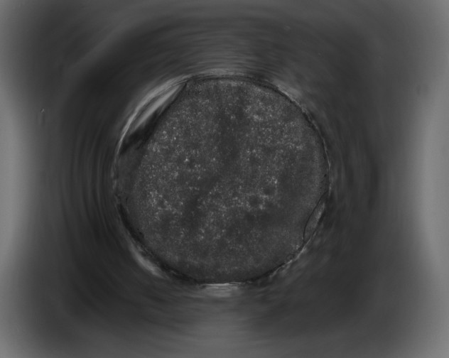 X0000086730050200705041356