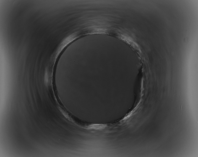 X0000086730051200705041356