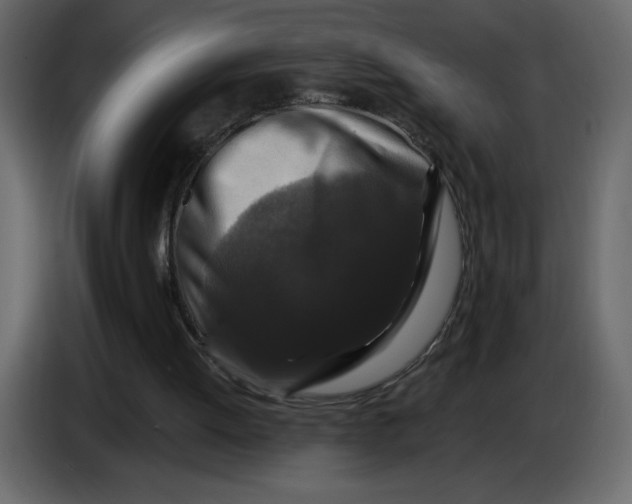 X0000086730052200705041356