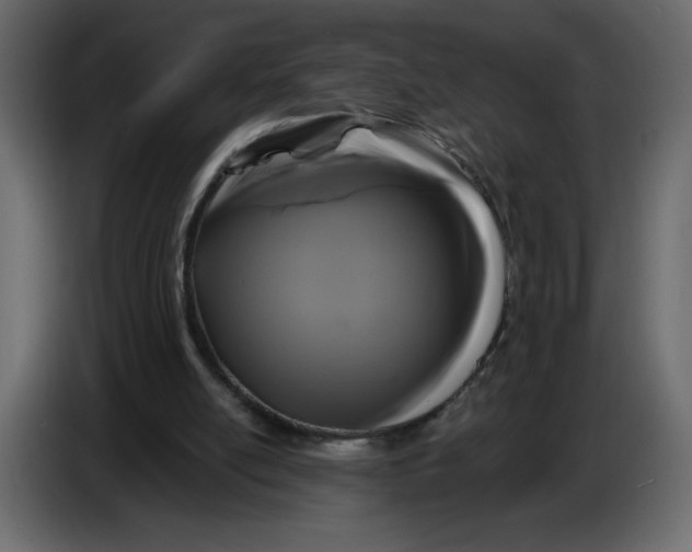 X0000086730054200705041356