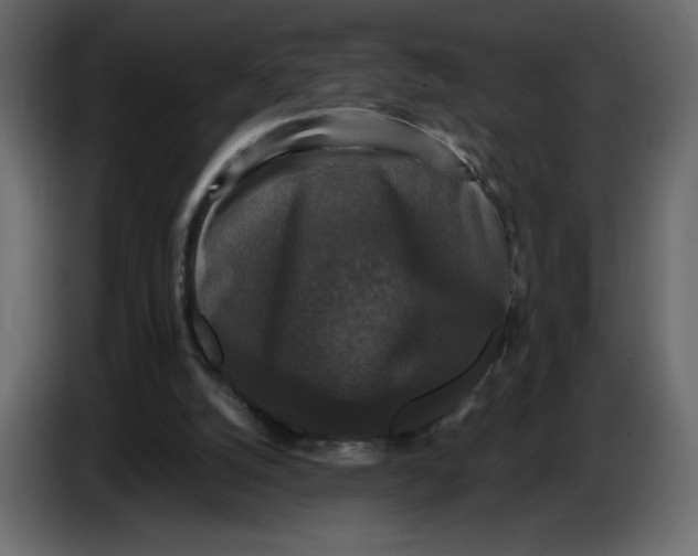X0000086730056200705041356