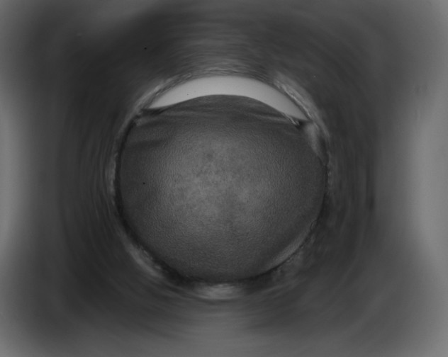 X0000086730058200705041356
