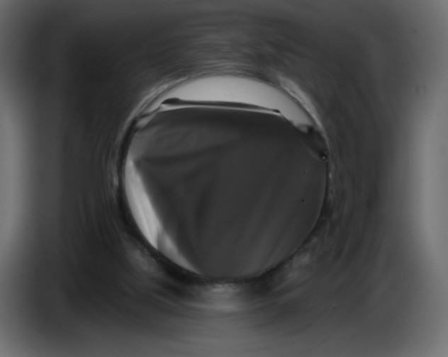 X0000086730059200705041356