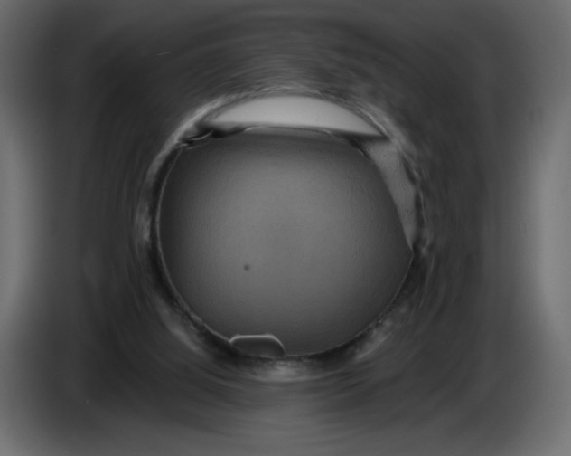 X0000086730060200705041356