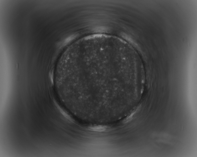 X0000086730062200705041356