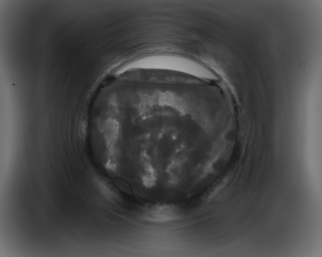 X0000086730063200705041356
