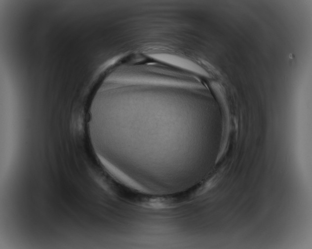 X0000086730064200705041356