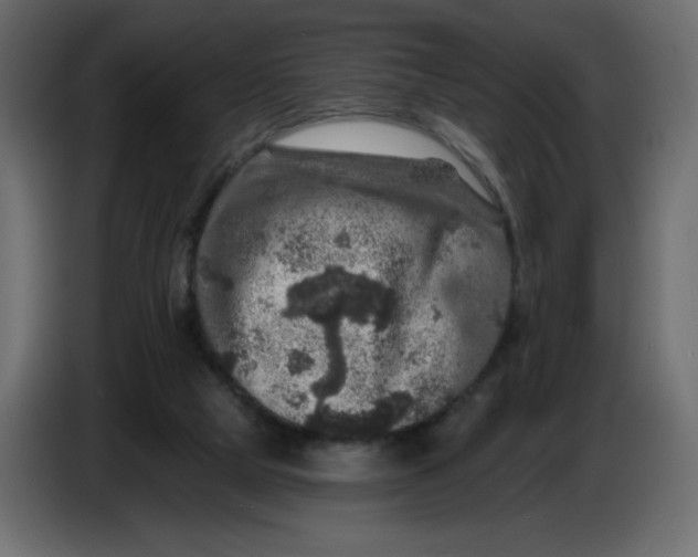 X0000086730065200705041356