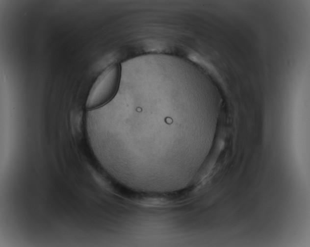 X0000086730066200705041356
