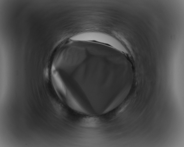X0000086730067200705041356