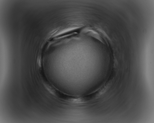 X0000086730068200705041356