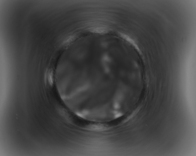 X0000086730069200705041356
