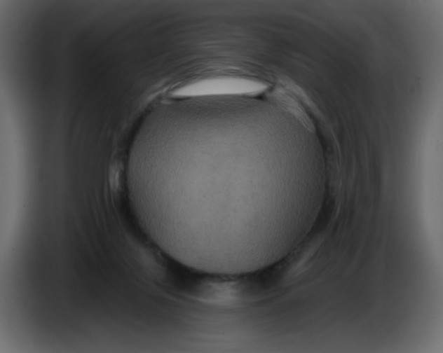 X0000086730071200705041356