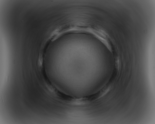 X0000086730072200705041356