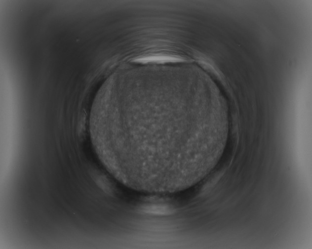 X0000086730073200705041356