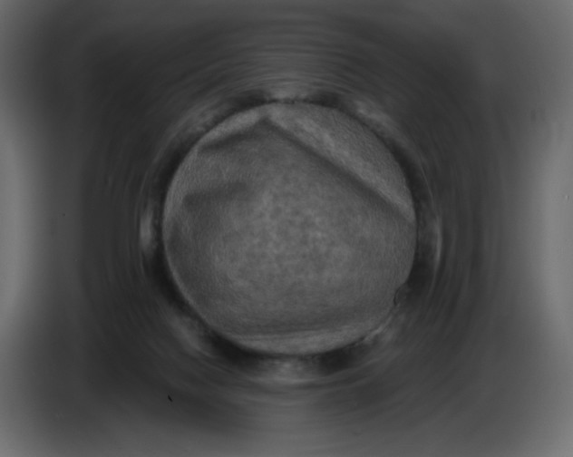 X0000086730074200705041356