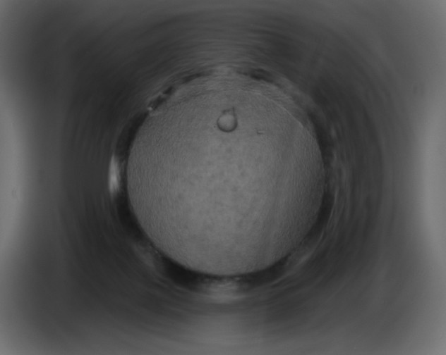 X0000086730075200705041356