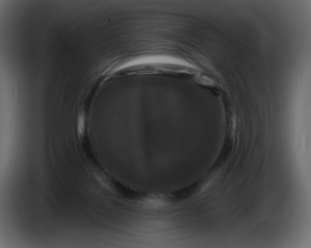 X0000086730076200705041356