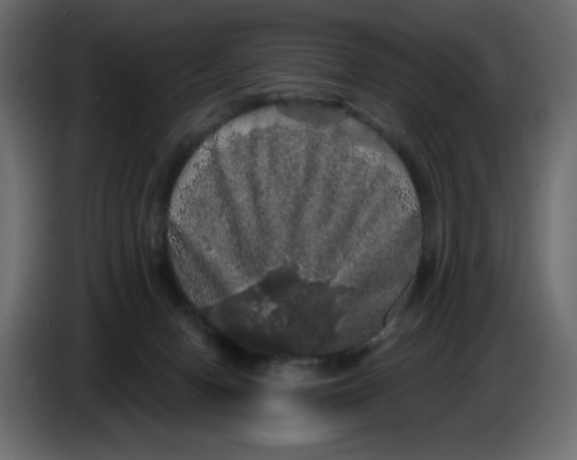 X0000086730078200705041356