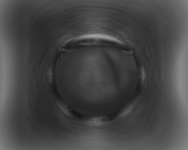 X0000086730080200705041356