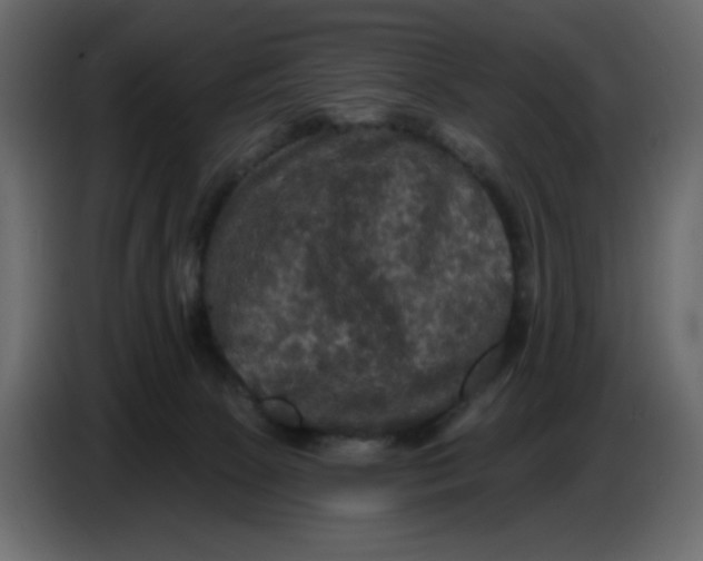X0000086730081200705041356