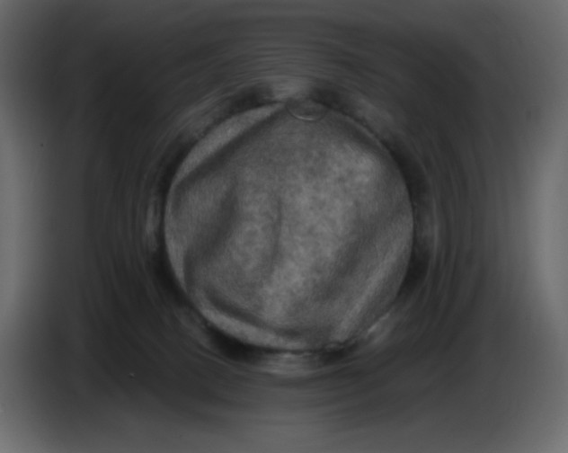 X0000086730082200705041356