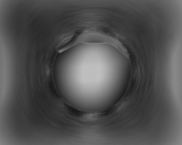 X0000086730084200705041356