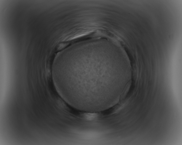 X0000086730085200705041356