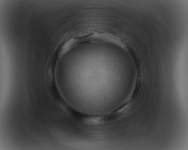 X0000086730086200705041356