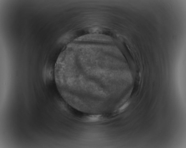 X0000086730090200705041356