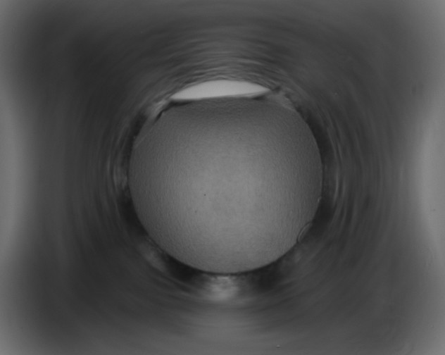 X0000086730091200705041356
