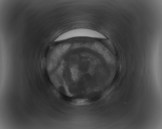 X0000086730093200705041356