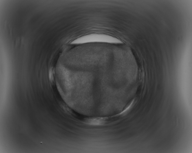 X0000086730094200705041356