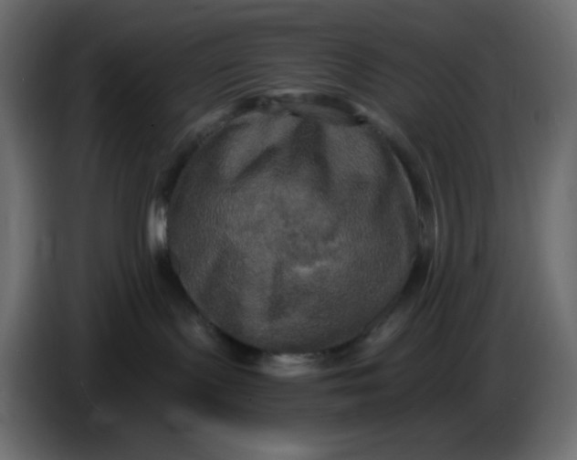 X0000086730095200705041356