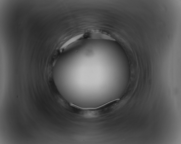 X0000086730096200705041356