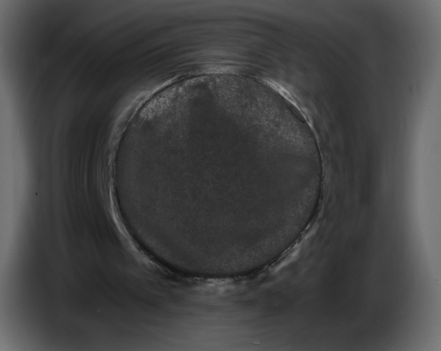 X0000086730097200705041355