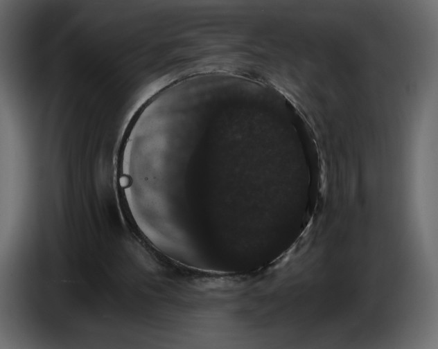 X0000086730100200705041355