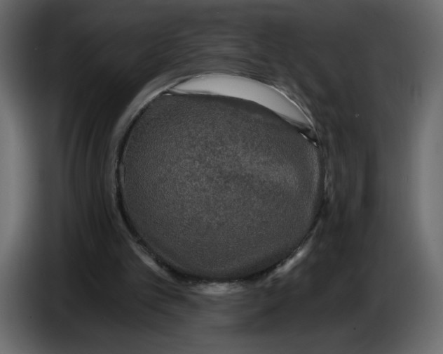 X0000086730101200705041355