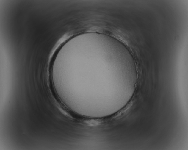 X0000086730102200705041355