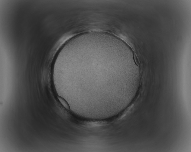 X0000086730103200705041355
