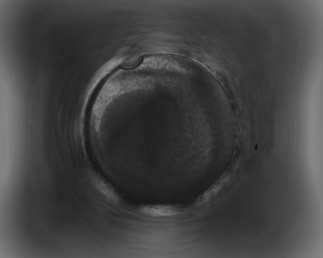 X0000086730104200705041355