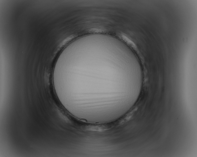 X0000086730106200705041355