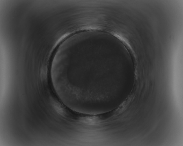 X0000086730108200705041355