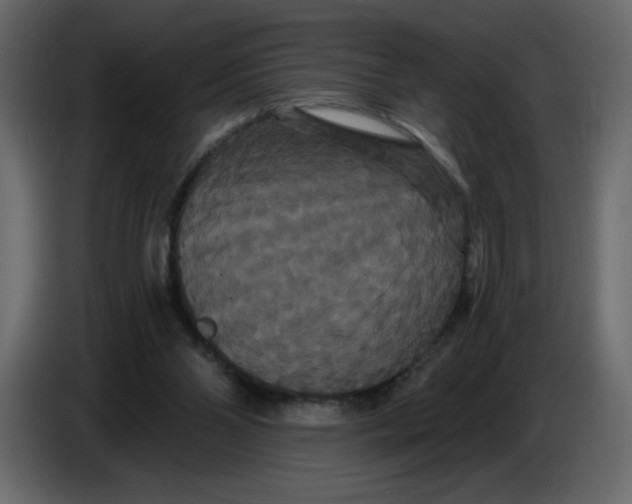 X0000086730110200705041355