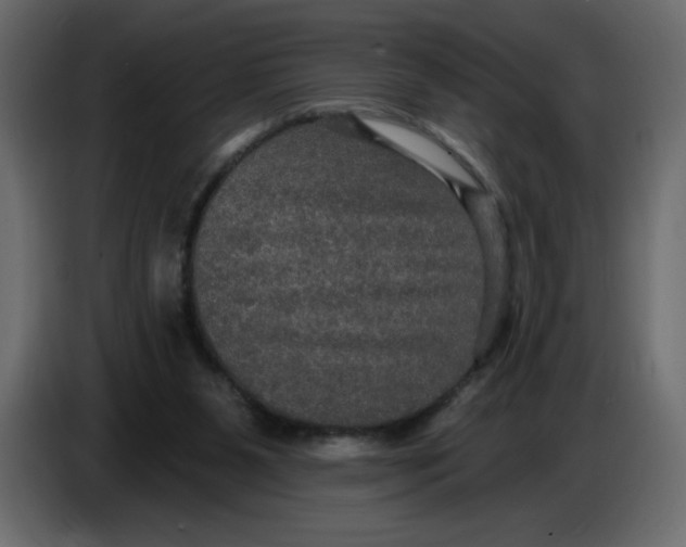X0000086730111200705041355