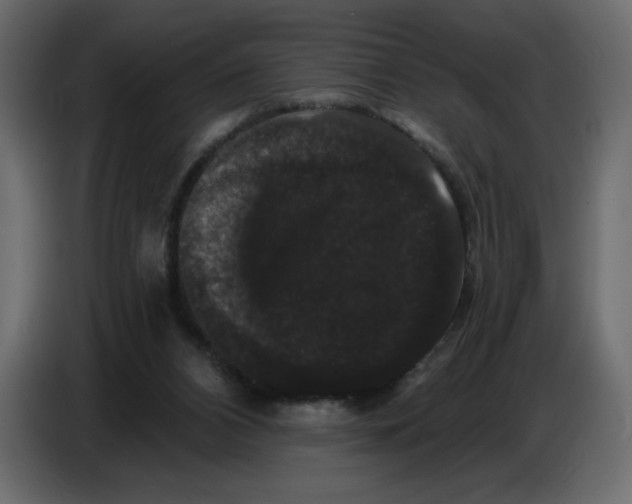 X0000086730112200705041355